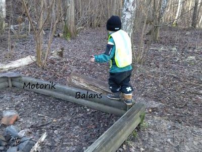 Balans Motorik