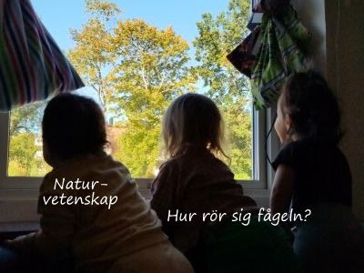 1. Naturvetenskap - Hur rör sig fågeln