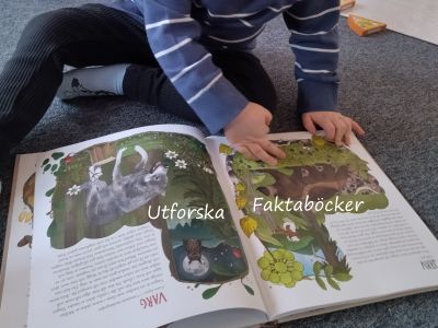 3Faktaböcker